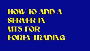 Forex Trader için MT 5'te Sunucu Nasıl Eklenir - Kılavuz ve İpuçları